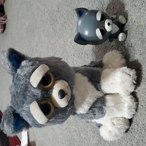 Fiesty pets Sammy suckerpunch